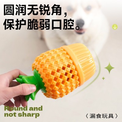 伊丽天元狗狗玩具磨牙啃咬漏食玩具泰迪贵宾小狗益智宠物用品批发图4