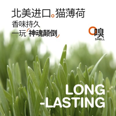两只福狸逗猫玩具智能猫头鹰宠物猫企鹅电动猫咪自嗨发声猫薄荷图3