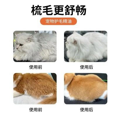 宠物毛发柔顺护毛喷雾猫咪狗狗毛发护理精油喷雾开结蓬松柔顺精油图2