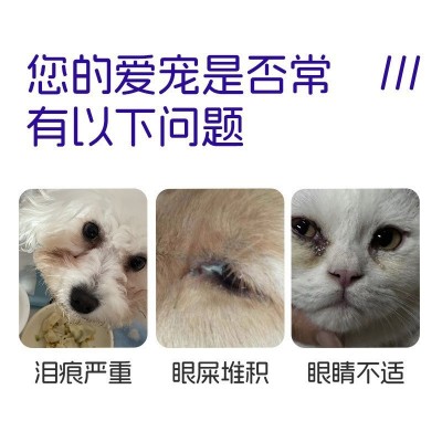 宠物泪痕粉猫咪狗狗眼部清洁粉宠物眼屎眼垢粉比熊博美泪痕泪渍粉图4