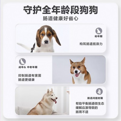 宠物益生菌猫狗专用肠胃宝宠物调理肠胃腹泻拉稀消化不良工厂代发图5