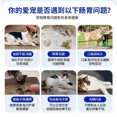 宠物益生菌猫狗专用肠胃宝宠物调理肠胃腹泻拉稀消化不良工厂代发图3