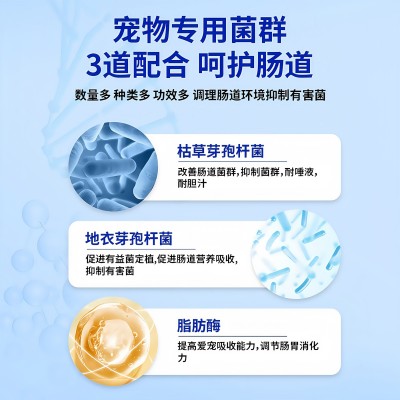 宠物益生菌猫狗专用肠胃宝宠物调理肠胃腹泻拉稀消化不良工厂代发图2