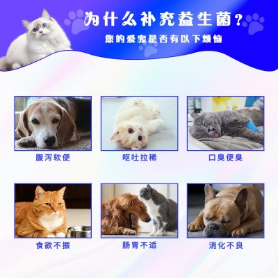 宠物益生菌猫咪狗狗调理肠胃助消化便秘腹泻猫狗专用活性益生菌图2
