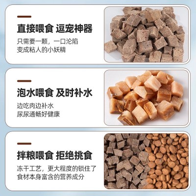 聪惠宠物零食冻干牛肉粒猫咪狗狗主食拌粮500g营养冻干桶厂家批发图4