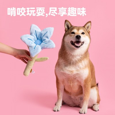 派思维手捧花宠物藏食磨牙玩具毛绒响纸叫叫发声幼犬小狗生日礼物 1件图3