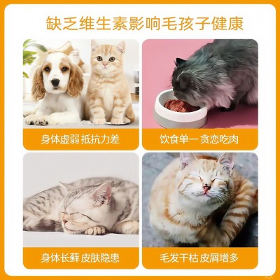 宠物维生素片猫狗益生菌维生素犬猫通用补充营养掉毛美毛增强体质 10瓶图2