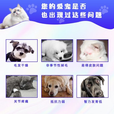 宠物鱼油卵磷脂鱼油猫用鱼油狗狗犬猫专用鱼油宠物保健品美毛顺毛 10瓶图2