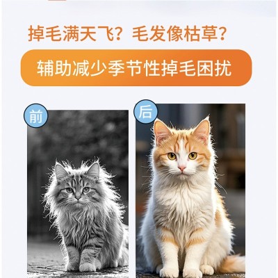 D-生物素宠物告别掉毛科学美毛爆毛猫狗通用防掉毛乳化生物素鱼油 1件图2