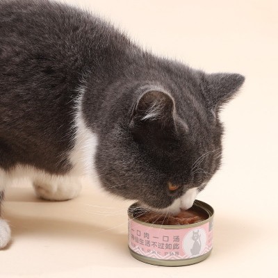 路斯宠物猫罐头批发四季猫咪主食湿粮冻鸡肉鱼干猫粮宠物猫零食 24包图2