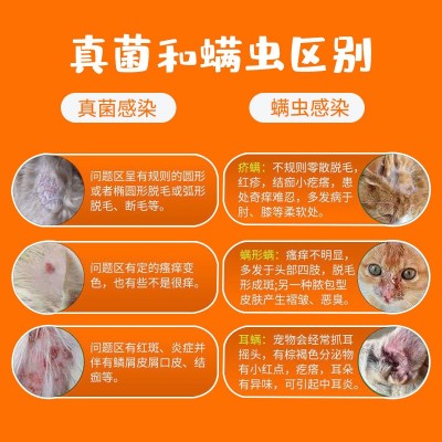 狗狗皮肤喷剂抗菌脱毛皮癣结痂宠物狗猫咪廯喷雾 3盒图2