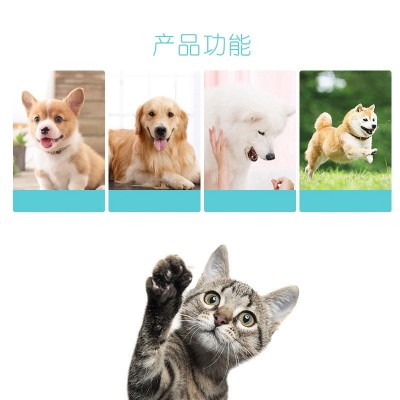 宝莱美露宠物益生菌粉50g盒狗狗猫咪肠胃宝益生菌宠物保健品批发 2盒图2