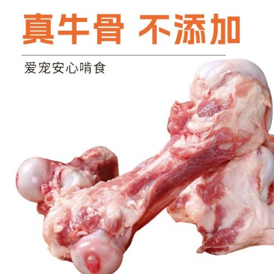 皓宠今日真骨狗狗磨牙棒贵宾金毛洁齿啃咬棒耗牛腿骨耗牛骨批发图3