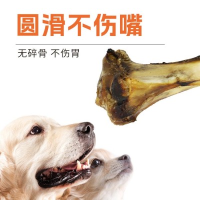 皓宠今日真骨狗狗磨牙棒贵宾金毛洁齿啃咬棒耗牛腿骨耗牛骨批发图4