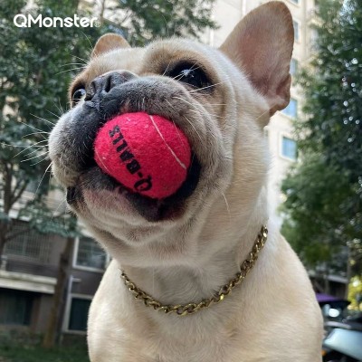 Qmonster狗狗玩具球四色网球宠物磨牙耐咬解闷泰迪金毛宠物训练球图4