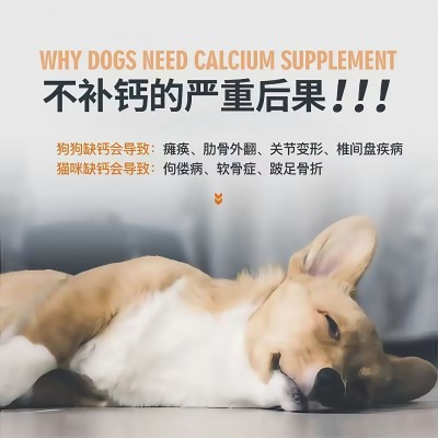 宠物钙片工厂代发猫狗通用补钙奶片狗狗补钙补充营养呵护关节发育图2