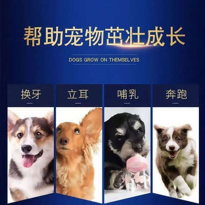 宠物钙片工厂代发猫狗通用补钙奶片狗狗补钙补充营养呵护关节发育图4
