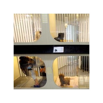 【宠物店】 宠物店诚邀加盟图2