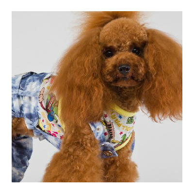 【宠物服装店】 宠物服装店诚邀加盟图3