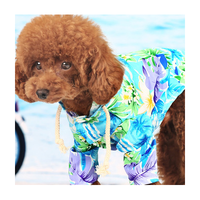 【宠物服装店】 宠物服装店诚邀加盟