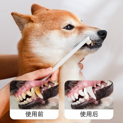 宠物泡沫牙膏不辣口猫咪狗狗牙膏洁齿清口气清洁用品亚马逊批发图3