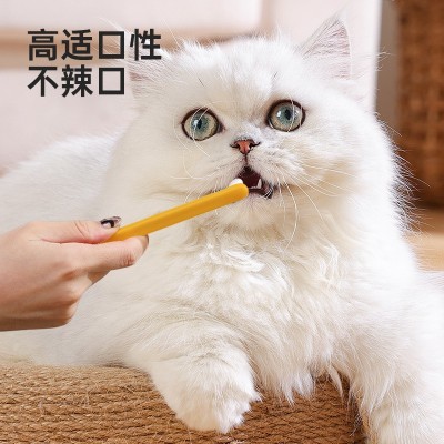 宠物泡沫牙膏不辣口猫咪狗狗牙膏洁齿清口气清洁用品亚马逊批发图2