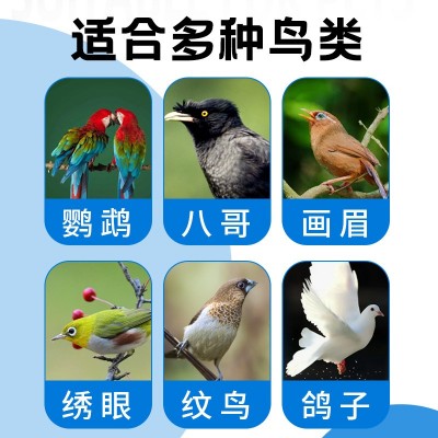 鹦鹉鸟用滴眼液一滴灵单眼伤风玄风滴眼液眼睛流泪鹦鹉滴眼液批发图3