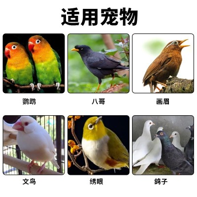 鸟用羽毛喷雾体外一喷净鹦鹉八哥清洁护理源头工厂宠物清洁喷剂图2