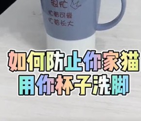 养猫小知识：如何防止你家猫用你的杯子洗脚？