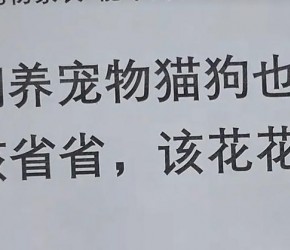 饲养宠物猫狗也能“该省省，该花花”？