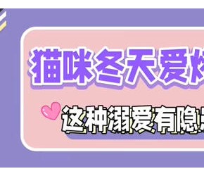 冬天养猫的家长注意⚠️这种行为会害猫