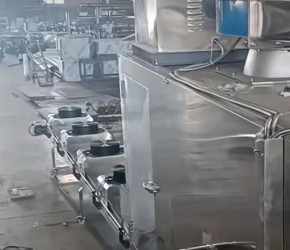 膨化狗粮猫粮龟粮鱼饲料生产加工机器 宠物饲料生产线车间实拍