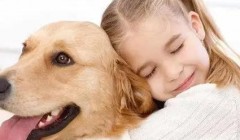 狗狗讨厌主人的行为 这类行为你应该注意了