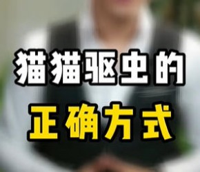 猫咪驱虫的正确方式！