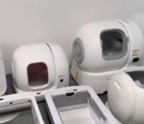 猫砂盆应该怎么选？开放式、封闭式哪种比较好？