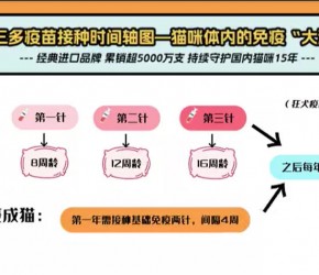 猫疫苗怎么打？来看看妙三多免疫“大演习”