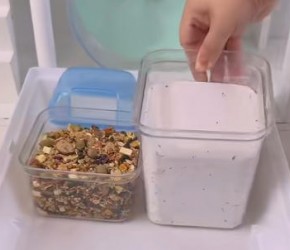 这份超全仓鼠寄养攻略请收好啊!!