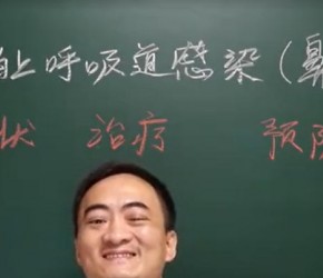 猫鼻支的防治方法