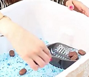 猫砂箱清理大法