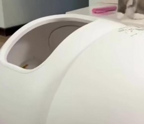 自动猫砂盆，值得买吗？