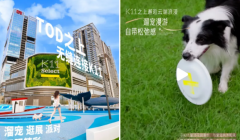 案例｜宠物达人种草背后：宠物友好社区如何重构商业与居住的流量生态