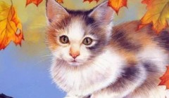 猫咪吃化毛膏真的能去毛球吗