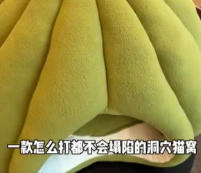 猫咪冬天必备的保暖猫窝