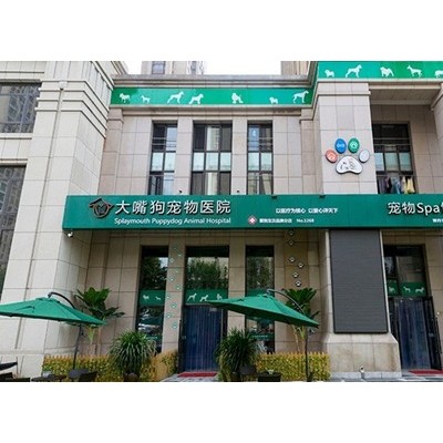 大嘴狗 加盟图3