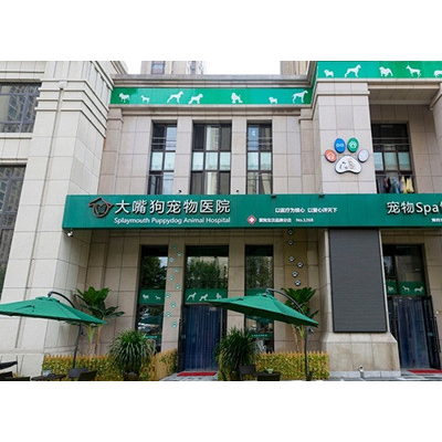 大嘴狗 加盟图5