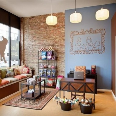 麦乐斯宠物店图4