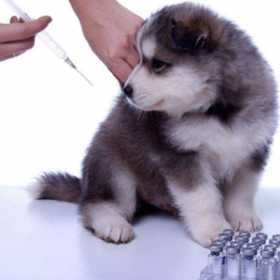 宠物康宠物医院图5