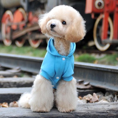 宠物宝宝 加盟图5