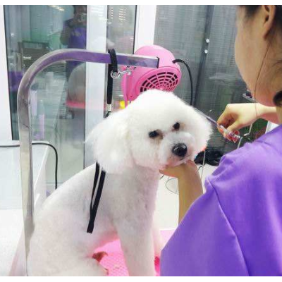 乖乖宠物医院图3