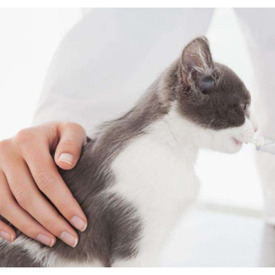 乖乖宠物医院图5